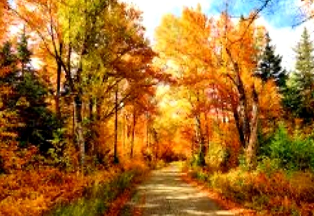 Se prefigurează un sfârşit cald de octombrie