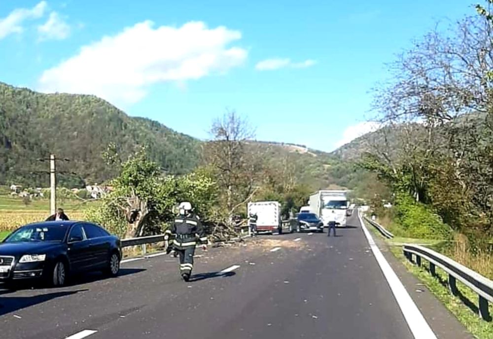 Un copac a blocat circulația rutieră în Vâlcea