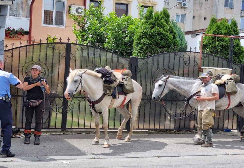 Rătăciți cu tot cu cai în drumul spre castelul Bran 