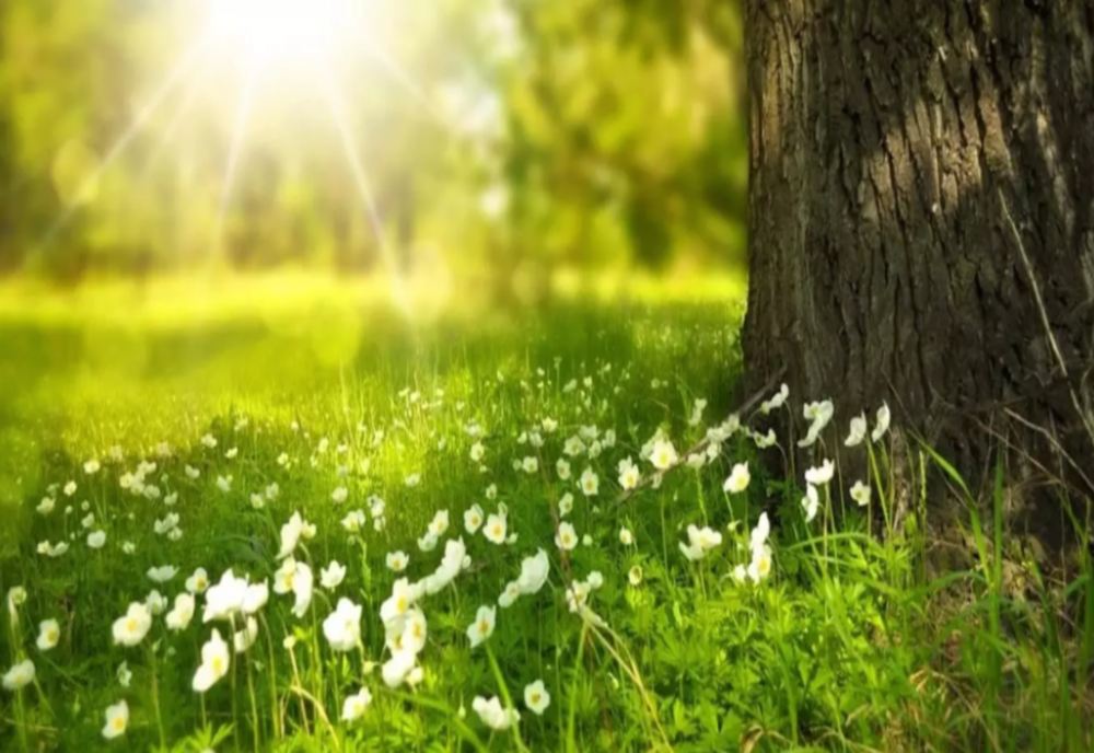 Vremea în week-end : Disconfort termic ridicat sâmbătă şi duminică