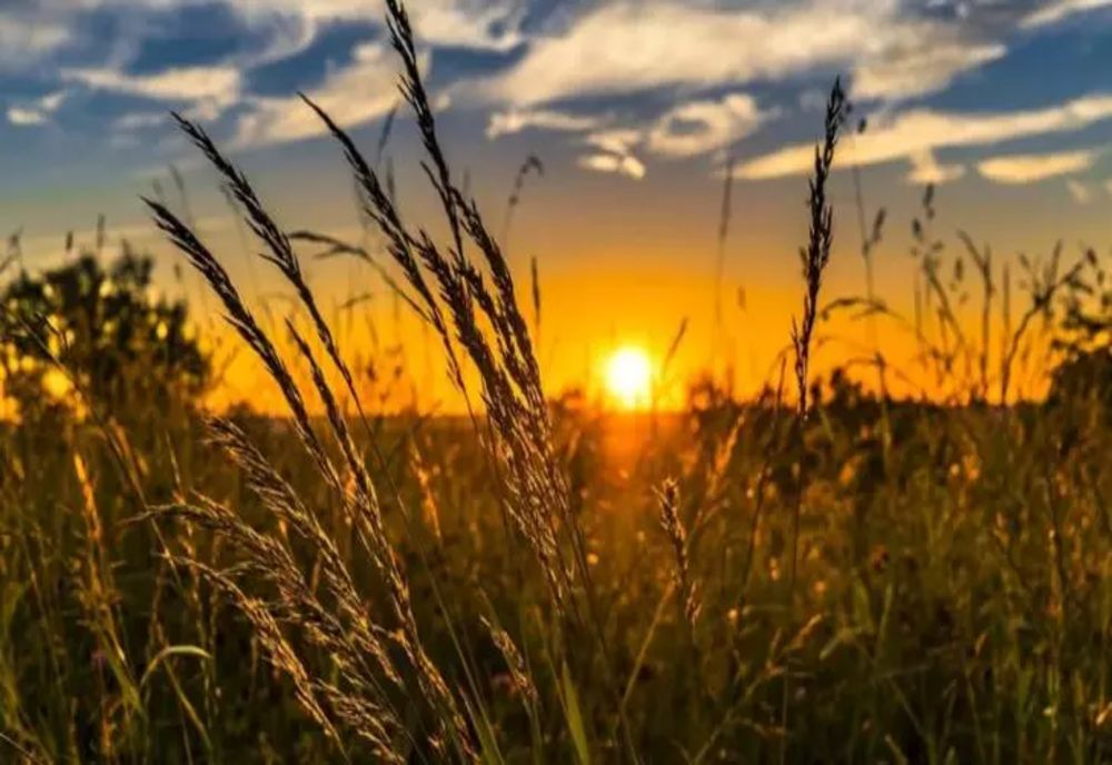 Restricții din cauza caniculei astăzi. În ce județe se întâmplă