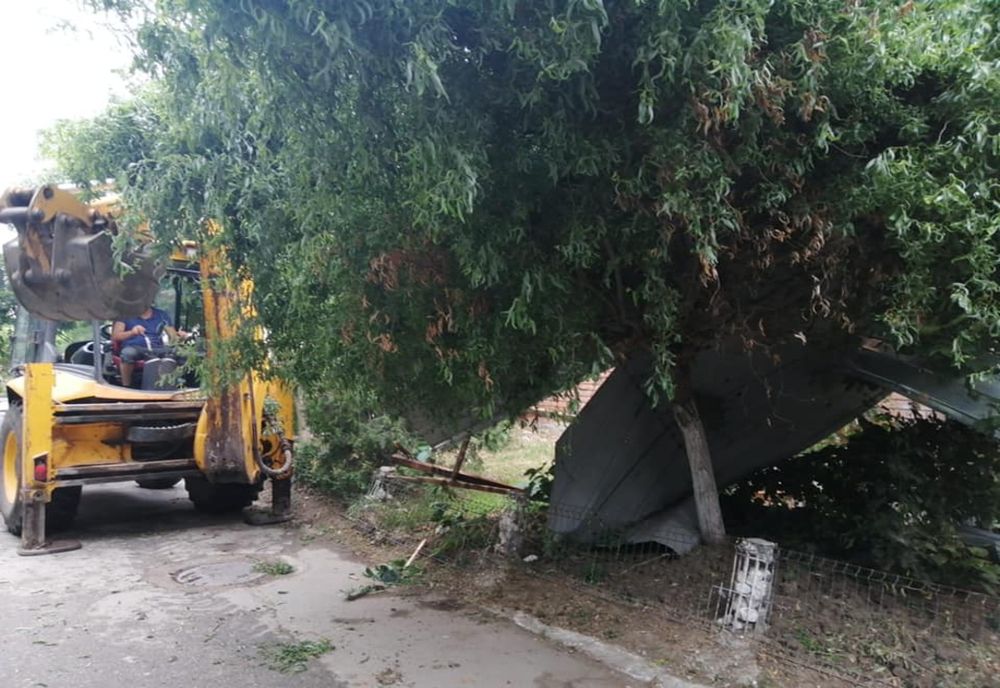 Un copac smuls de vânt a rupt rețeaua de electricitate în Horezu