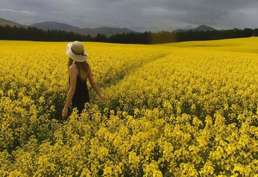 Vremea în general frumoasă astăzi în aproape toată țara. Ce zone fac excepție 