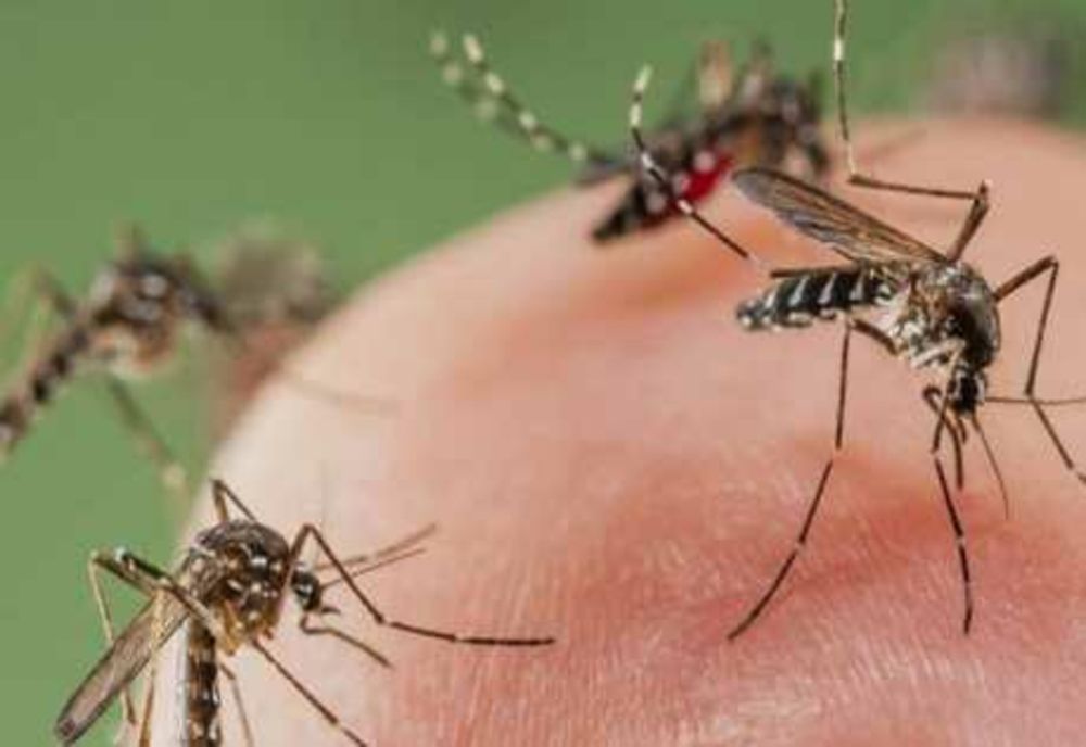CREȘTERE A CAZURILOR DE INFECȚIE CU VIRUSUL WEST NILE ÎN ROMÂNIA 