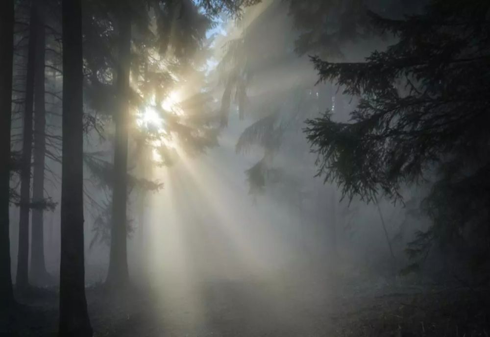 Prognoza meteo 16 noiembrie - vreme bună la munte, ploi și ceață în restul zonelor