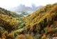 Fenomene nemaintalnite in padurile valcene