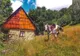 Un loc uitat aproape de lume renaște printr- o noua aventura, echitatia
