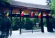 Cercetașii vin in Parcul Zavoi