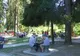 Consiliul Judetean Valcea solicita bani pentru parcuri in Olanesti