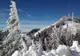 Recomandări de trasee turistice în Masivul Cozia !