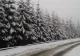 Un nou val de ninsori. Cod galben de zăpadă şi viscol la Vâlcea