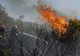 Noi incendii de vegetație astăzi, în Vâlcea