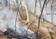 Incendiul din Brezoi s- a extins. În zonă este trimis in elicopter pentru stingerea flăcărilor