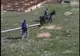 Amendă pentru cruzime față de animale în Vâlcea !