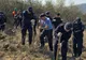 ,,Plantăm fapte bune în România” !