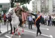Claudiu Manda, Daniel Suciu și Cezar Ouatu, în parada lui Mircea cel Bătrân