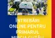 Audiențe online la primăria Râmnicu Vâlcea