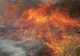Un incendiu de vegetație a izbucnit în această dimineață în Drăgășani