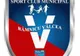 SCM Râmnicu Vâlcea joacă alături de cea mai puternică echipă a Germaniei