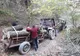 Depistați de jandarmi în timp ce tăiau ilegal material lemnos