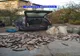 Actiune pe linie piscicola in judetul Valcea