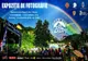 De la Sunet la Stare. Expoziție concurs dedicată festivalului Open Air Blues din Brezoi