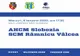 SCM Râmnicu Vâlcea va juca împotriva echipei HCM Slobozia