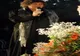 Caragiale, mon cher! Ariel, singurul teatru din România in care a fost jucată integrala scriitorului