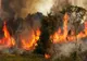 Incendiu de vegetație pe DN 24