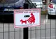 Amenzi pentru râmnicenii care își plimbă animalele de companie pe spațiul public și nu respectă regulile de curățenie