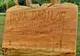 Vâlceni prezenți la tabăra de sculptură din Gorj