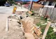 Lucrări în desfăsurare în Bujoreni, Vâlcea