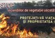 Flăcările au cuprins mai multe zone ale Vâlcii