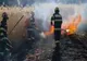 Incendiu de vegetație. O persoană a decedat
