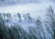 Turişti evacuaţi din staţiunea montană Vârful lui Roman din Horezu