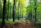 O familie cu trei copii a rămas blocată cu autoturismul pe un drum forestier