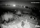 Urs surprins de camerele video într- o localitate din Vâlcea. Primarul le cere cerățenilor să fie precauți