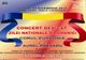 Concert dedicat zilei naționale
