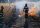 Incendiu de vegetație. O persoană a decedat